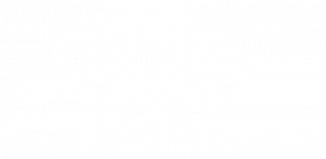 ARIS Logo